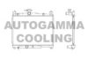 AUTOGAMMA 102378 Radiator, engine cooling